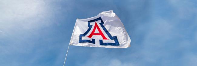University of Arizona Flag